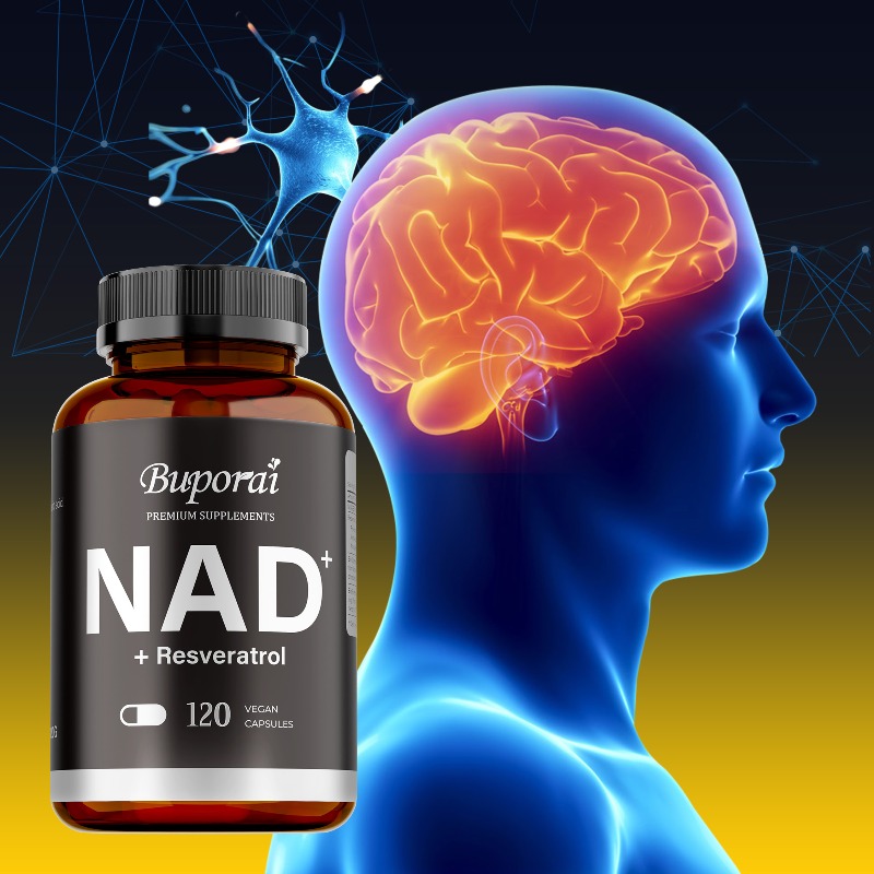 Resveratrol Capsule Anti Aging - NAD+ supplementen - Anti-aging, reguleren het